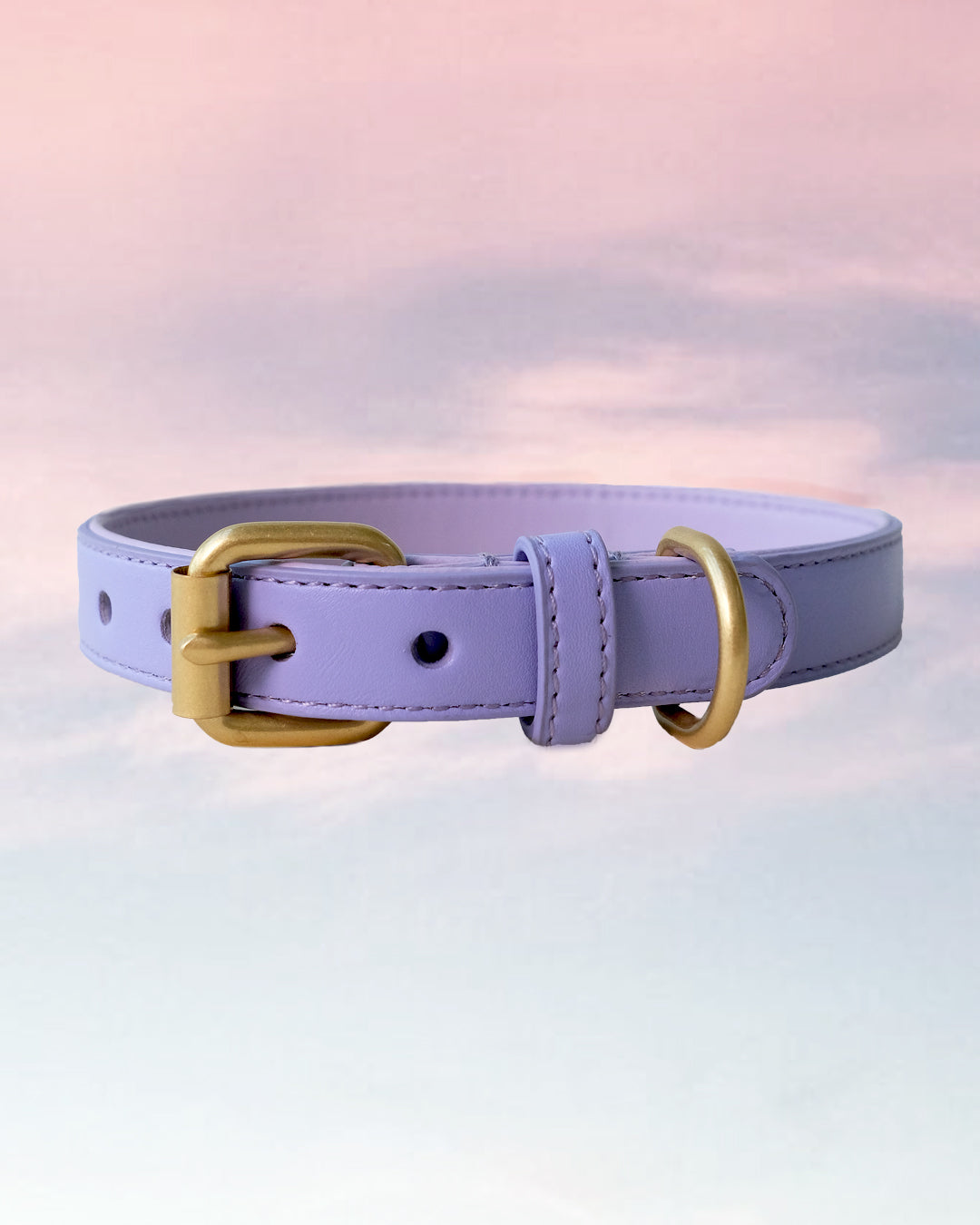 Lila hondenhalsband | Lavender