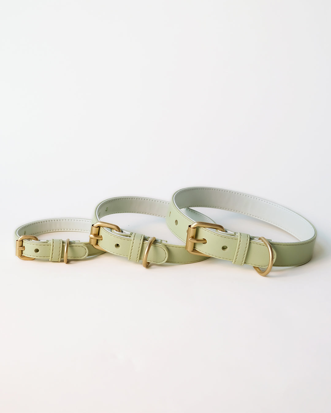 Groene hondenhalsband | Apple