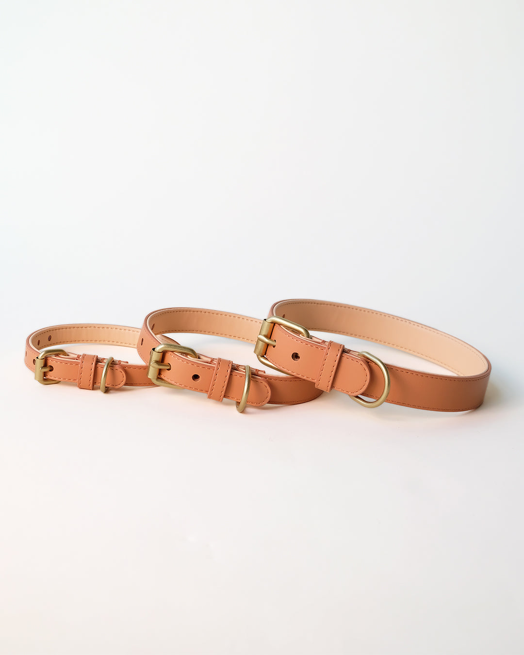 Oranje hondenhalsband | Peach