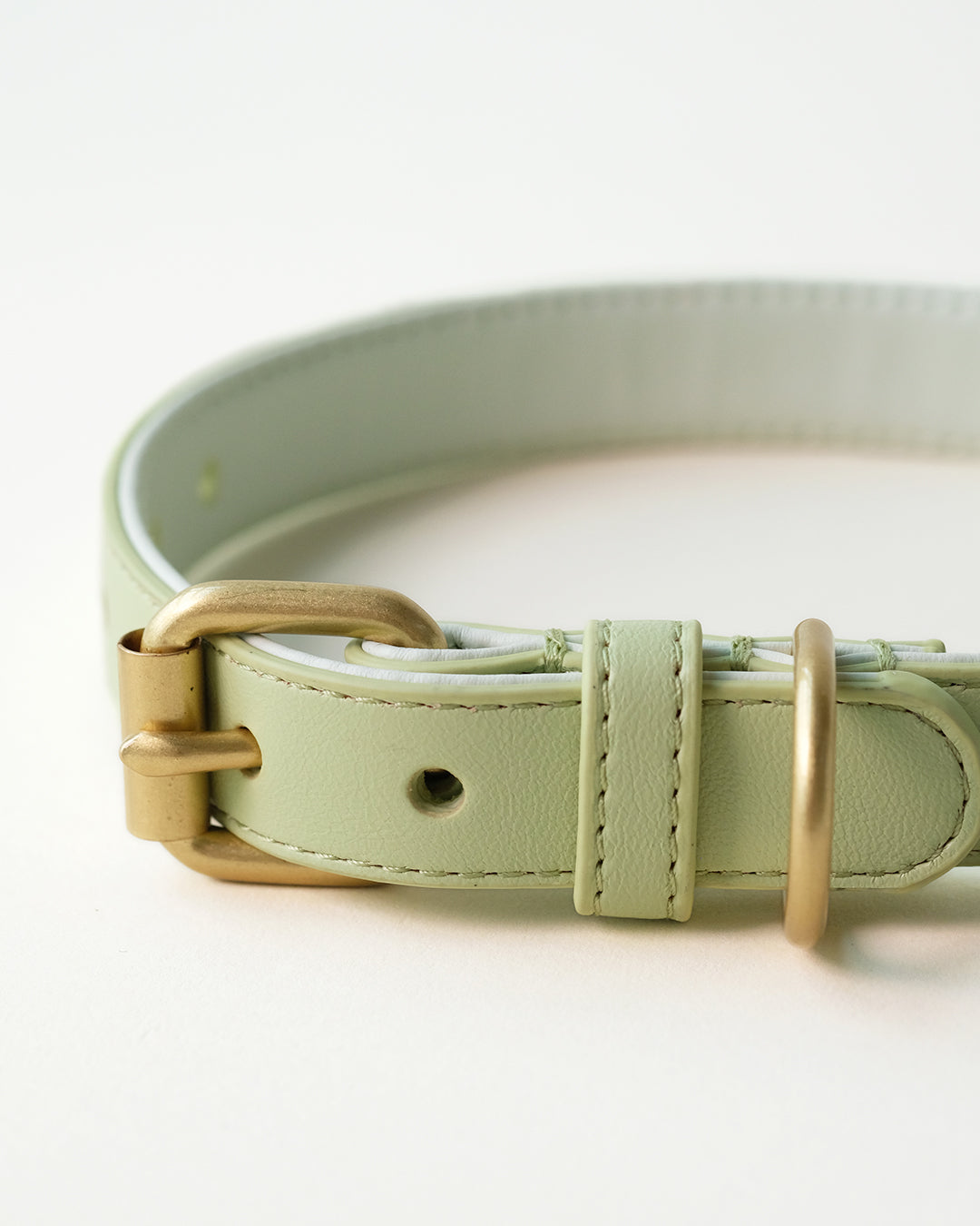 Groene hondenhalsband | Apple