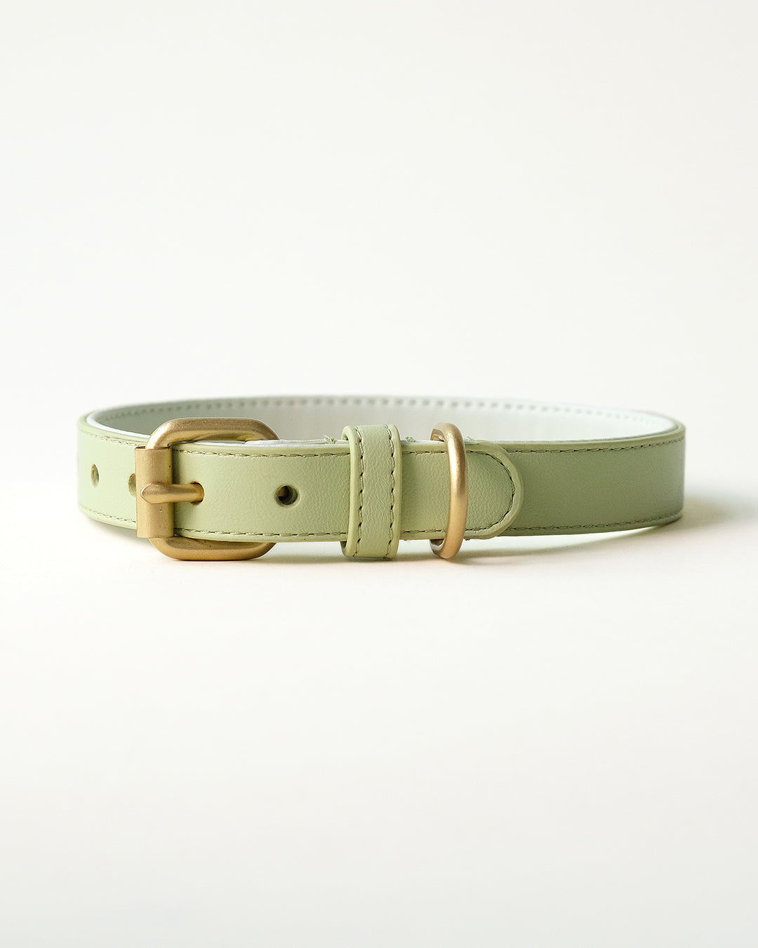 Groene hondenhalsband | Apple