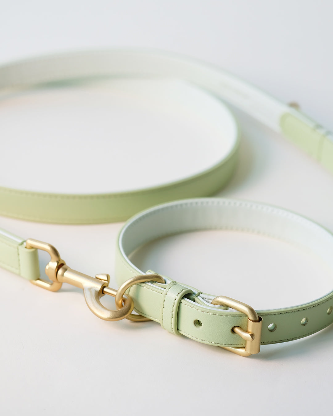Groene hondenriem | Apple