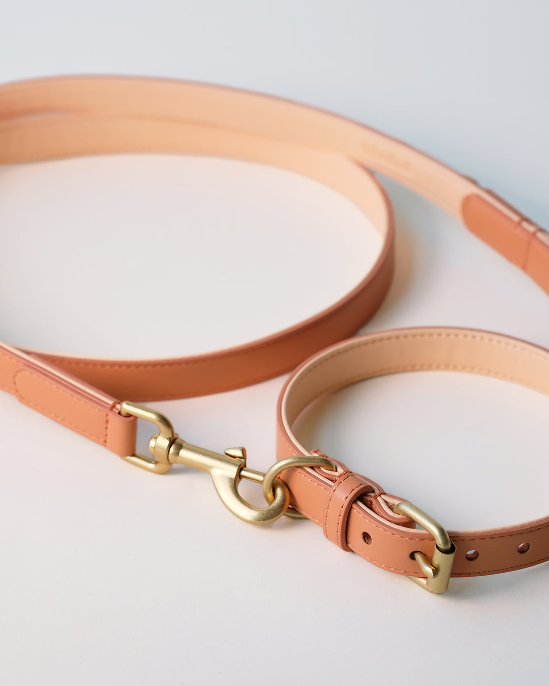Oranje hondenriem | Peach