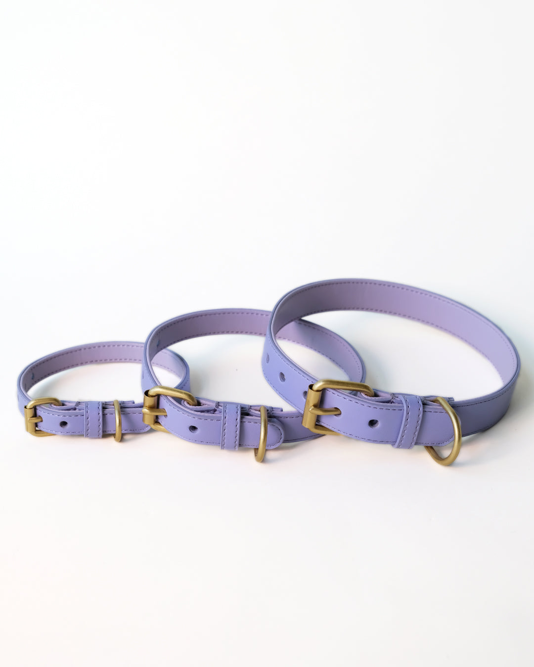Lila hondenhalsband | Lavender