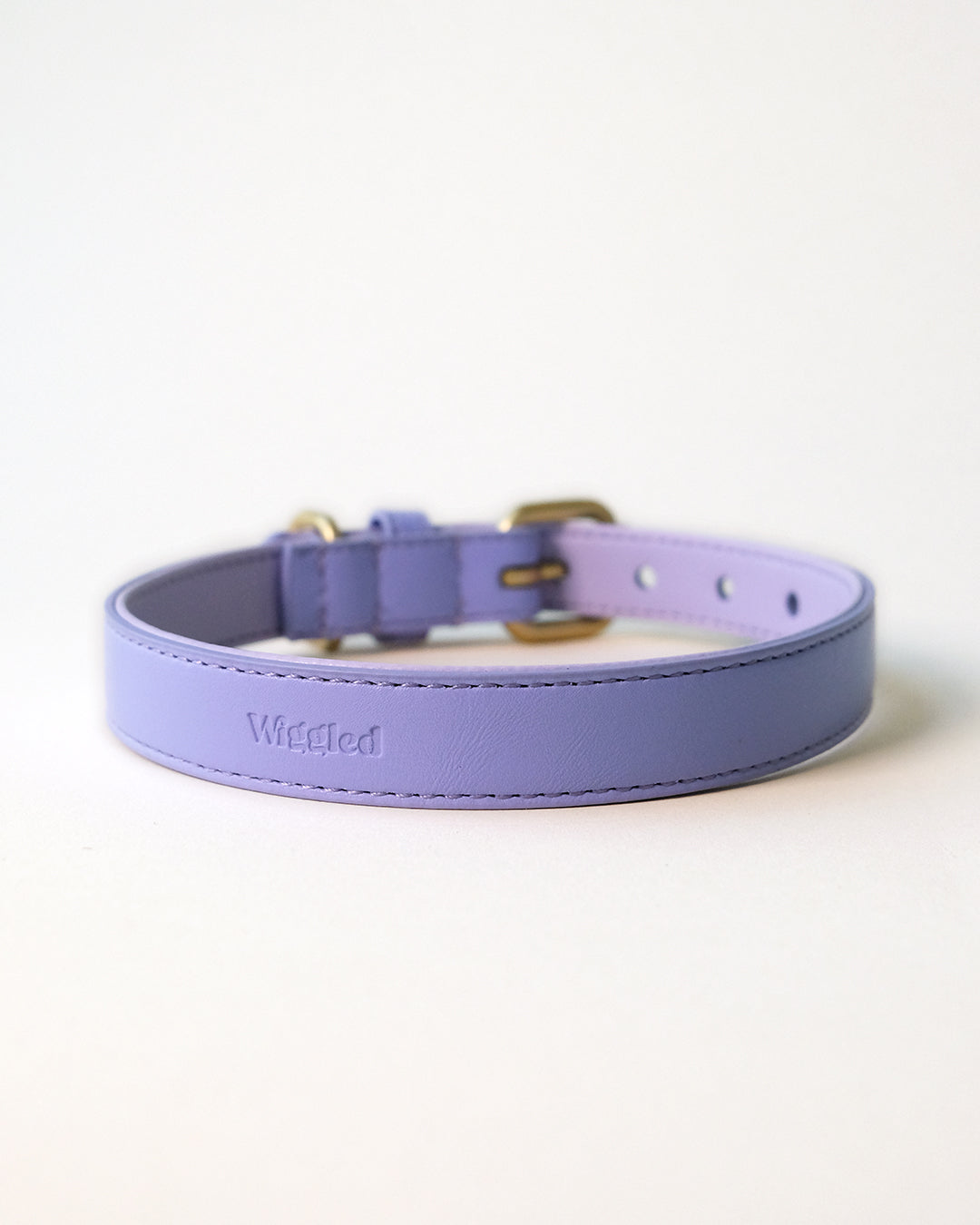 Lila hondenhalsband | Lavender
