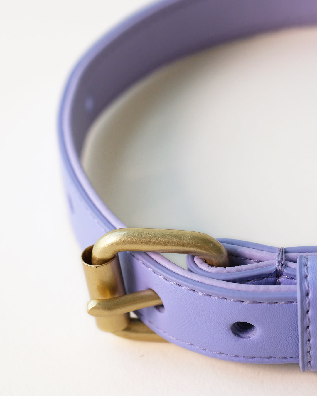 Lila hondenhalsband | Lavender