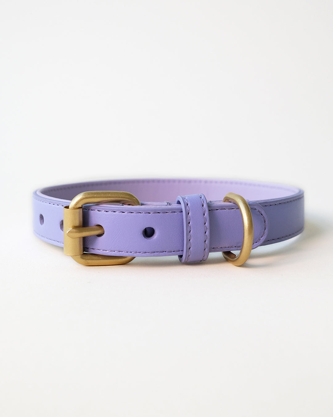 Lila hondenhalsband | Lavender