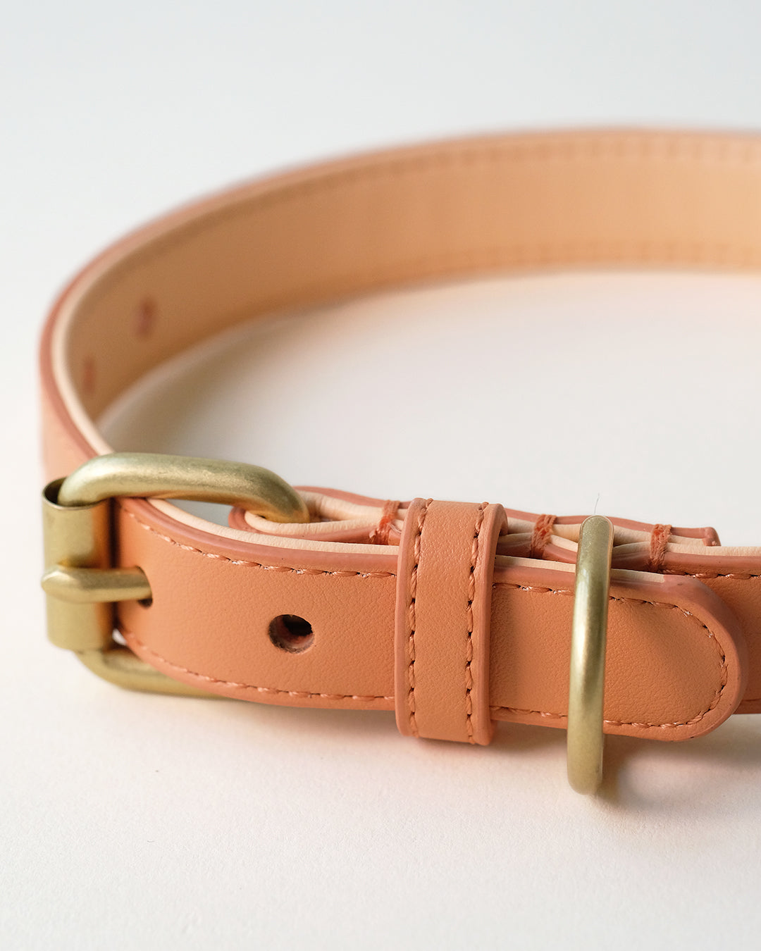 Oranje hondenhalsband | Peach