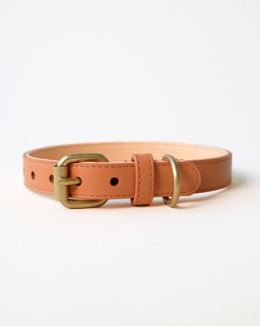 Oranje hondenhalsband | Peach
