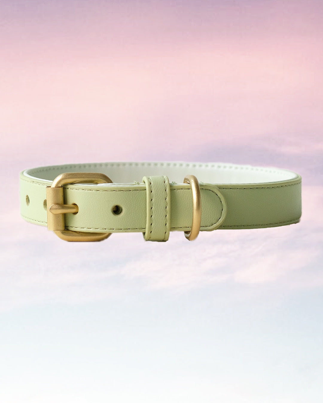 Groene hondenhalsband | Apple