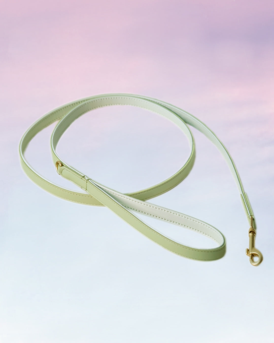 Groene hondenriem | Apple