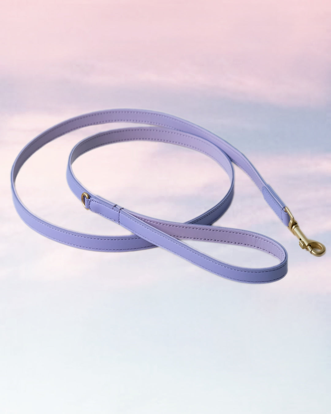 Lila hondenriem | Lavender
