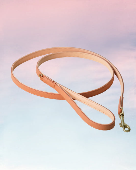 Oranje hondenriem | Peach