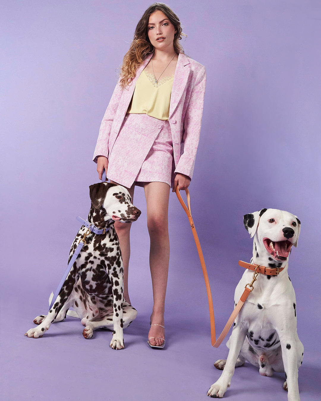Lila hondenriem | Lavender