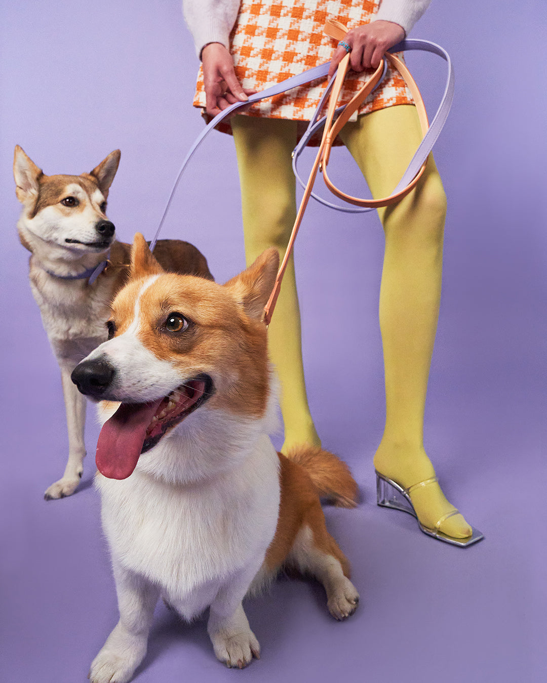Oranje hondenriem | Peach