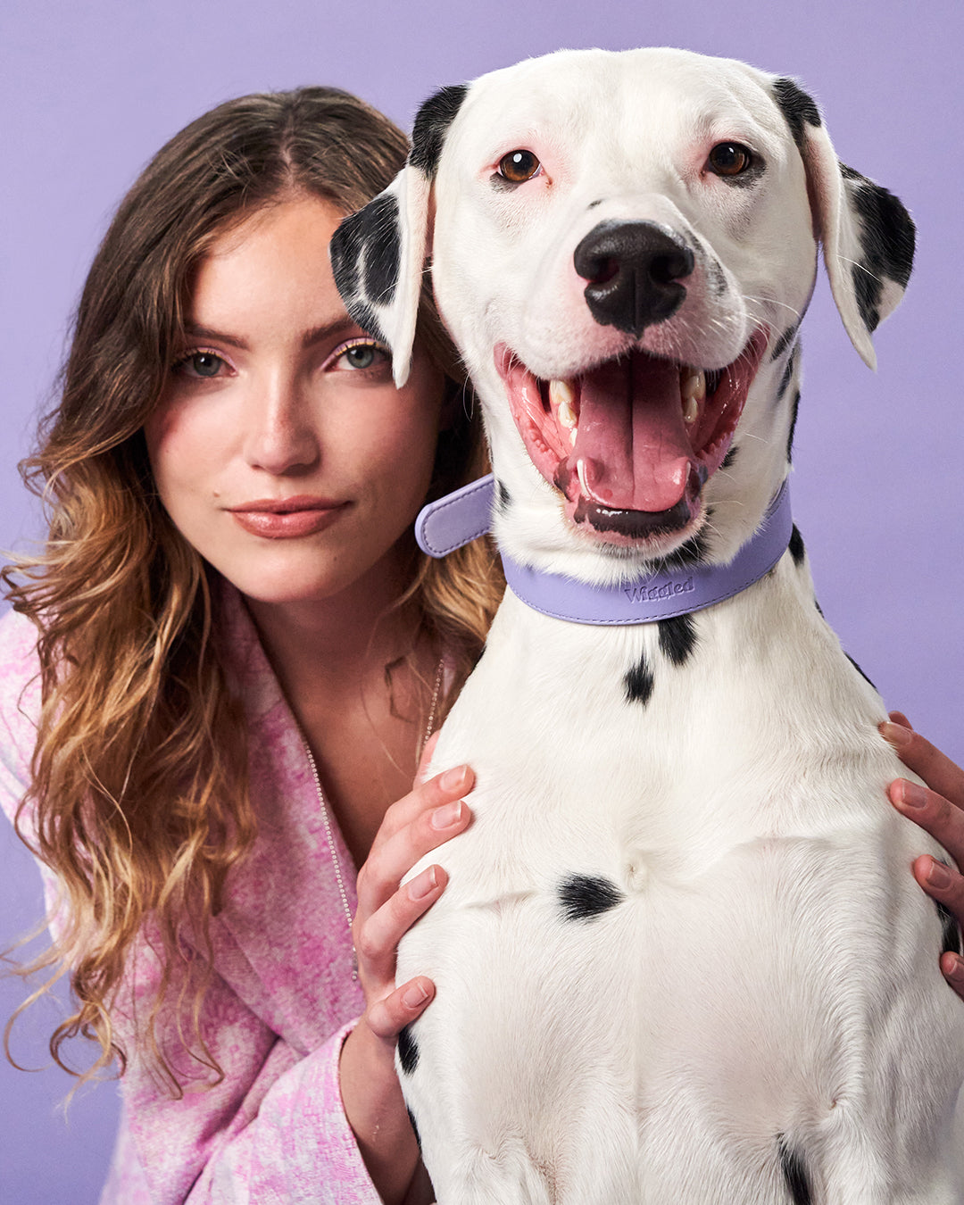 Lila hondenhalsband | Lavender